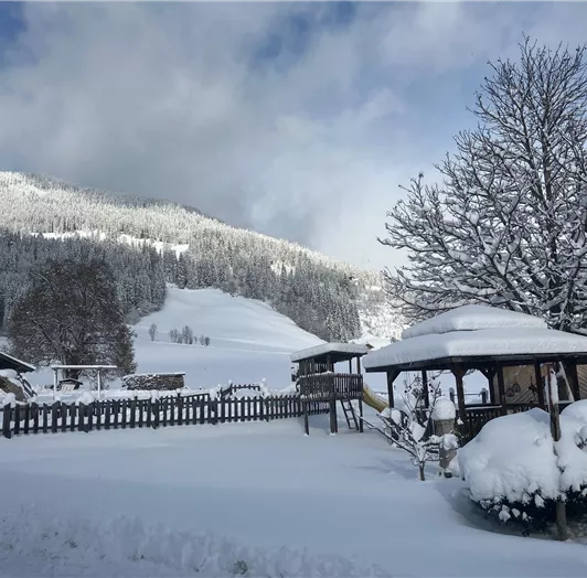 Winterlandschaft pur