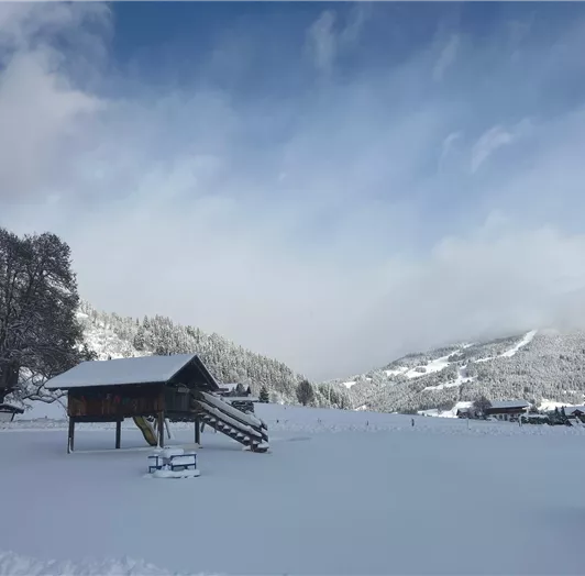 Winterlandschaft pur