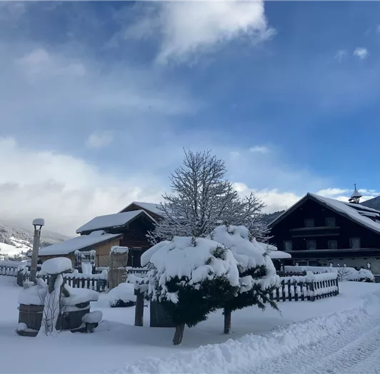 Winterlandschaft pur