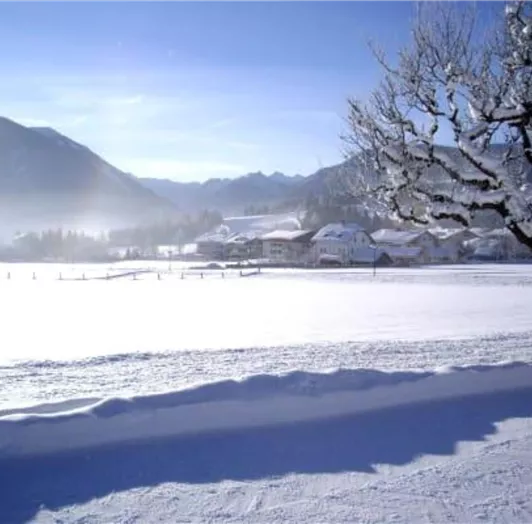 Winterlandschaft pur