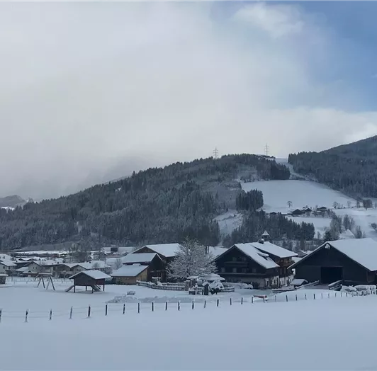 Winterlandschaft pur