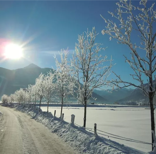 Wintersonne - Hauszufahrt