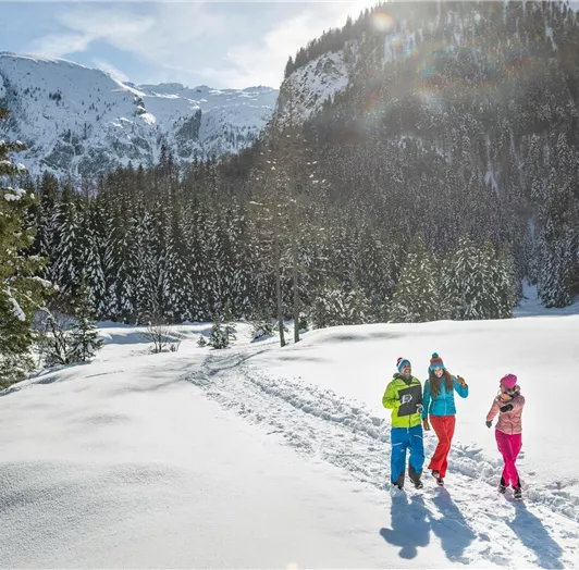 Winterwandern