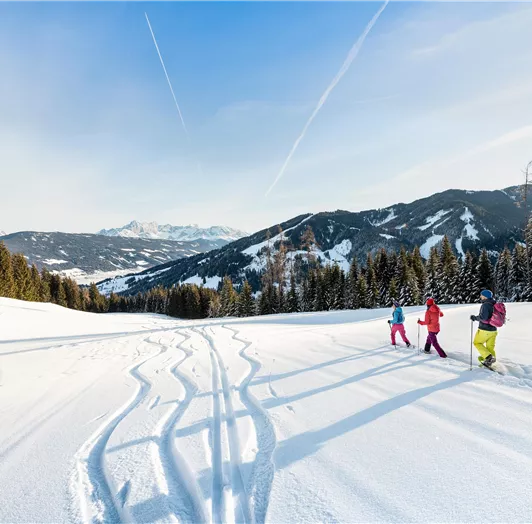 Winterwandern-Flachau