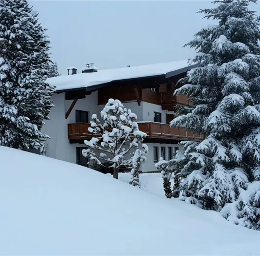 Glitzernder Schnee  verwandelt die Landschaft in ein Paradies