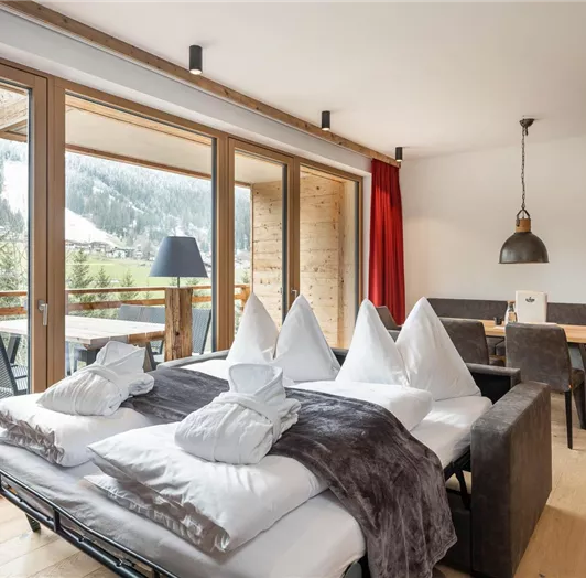 Wohnzimmer / Ausziehcouch