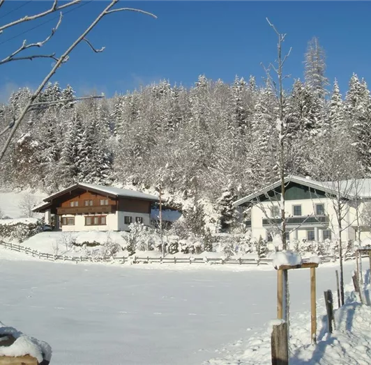 Zufahrt Tranninger - Stadler