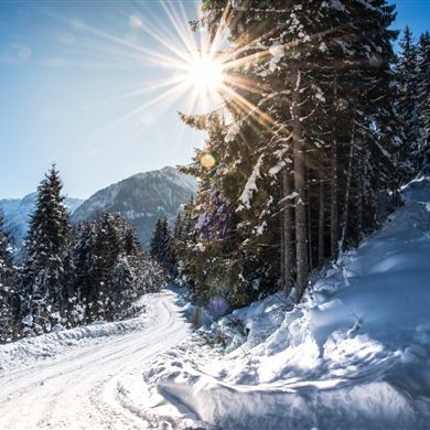 Am Winterwanderweg hoch zur Winklalm