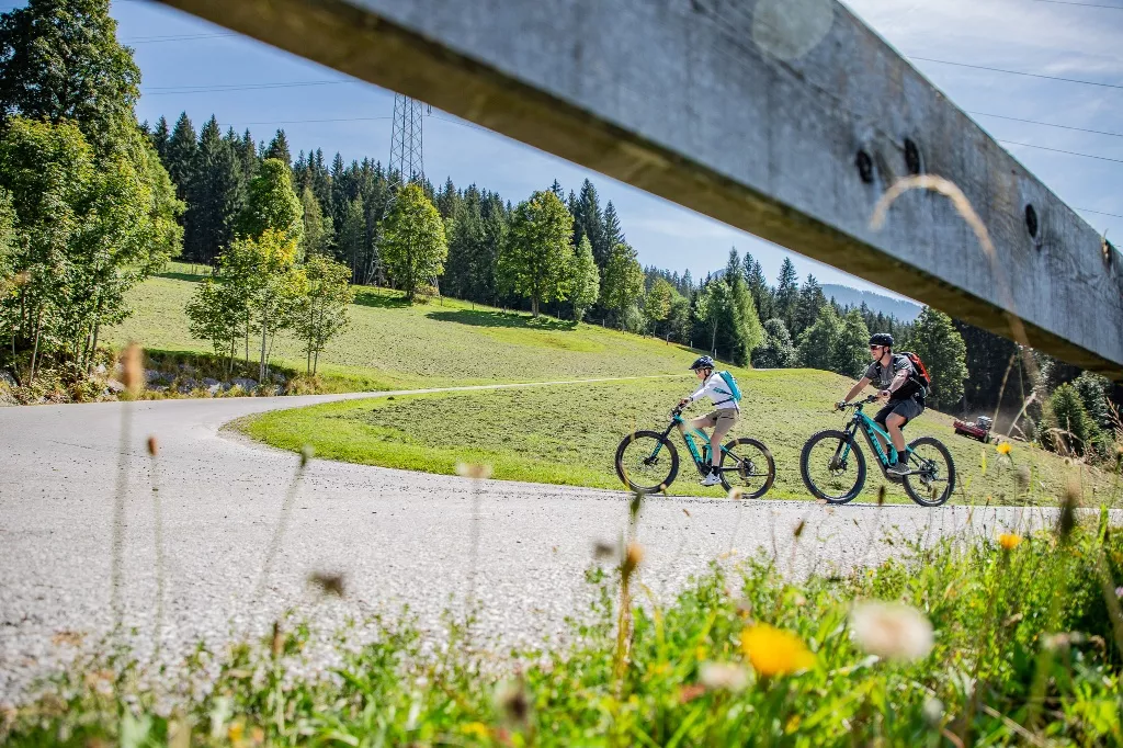 Sattelbauer-Runde Flachau (SW 31)