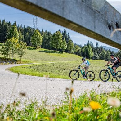 Angenehme Anstiege werden mit traumhaften Panorama und einer gemütlichen Einkehr beim Sattelbauer belohnt