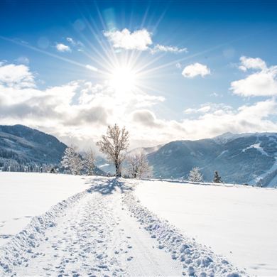 Blick auf den Lackenkogel und das Skigebiet