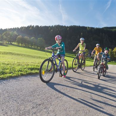 E-biking Castle Höch