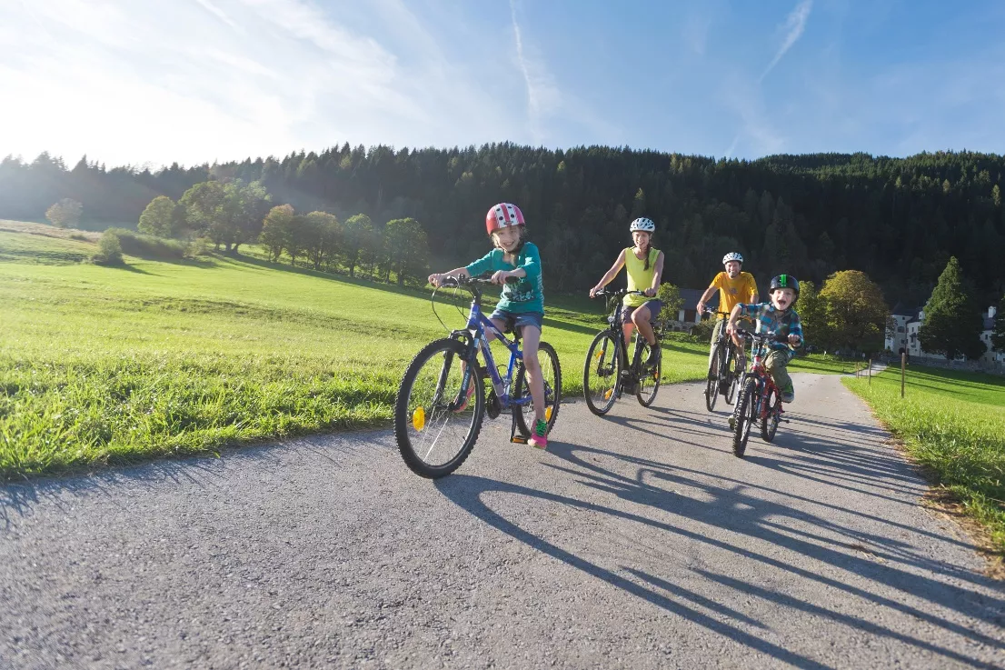 Schloss Höch - E-Trekkingbike