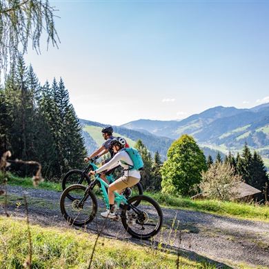 Secluded forest and logging roads, cool trail sections, and a breathtaking view of the Dachstein Massif await you on this route