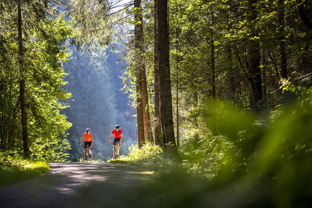 Untertauern Gravel-Bike-Tour