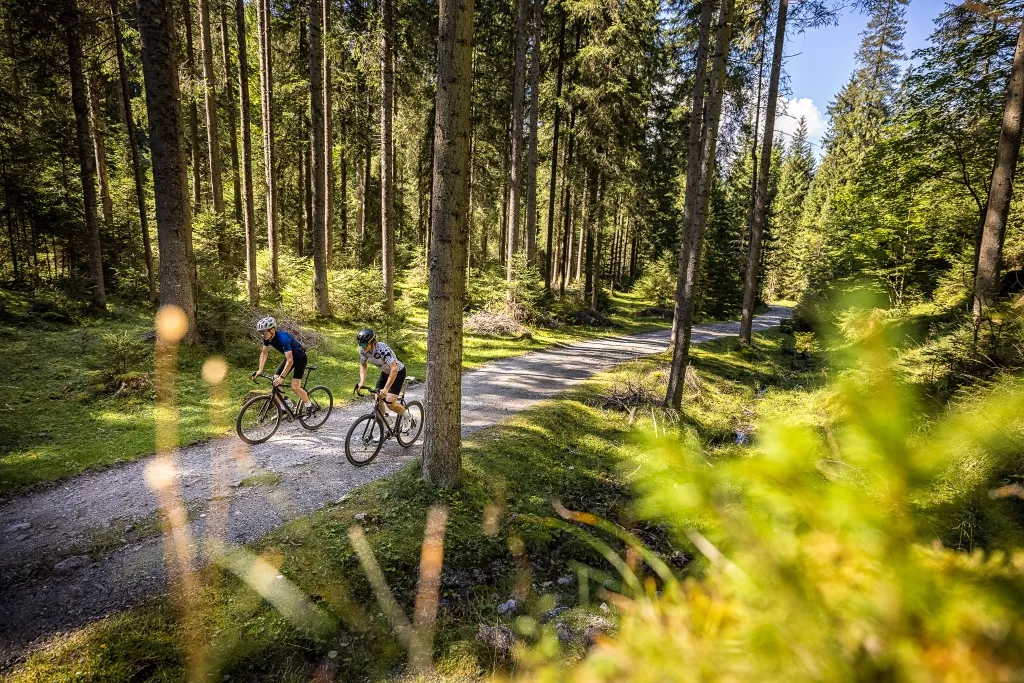 Forstau Gravel-Bike-Tour