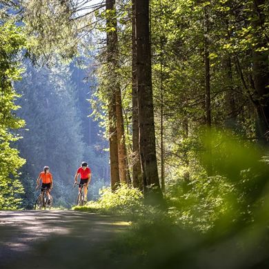 Flachau am Gravel-Bike entdecken!
