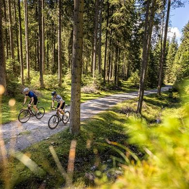 Flachau am Gravel-Bike entdecken!
