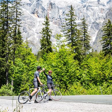 Headerfoto - Muehlbach - Dienten - Schwarzach