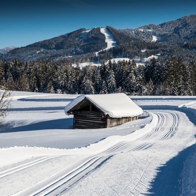 Herrlich präparierte Loipe in Reitdorf