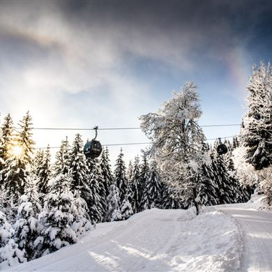 magnificent winter hiking trail