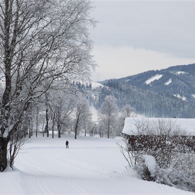 Langlauf Radstadt - Untertauern