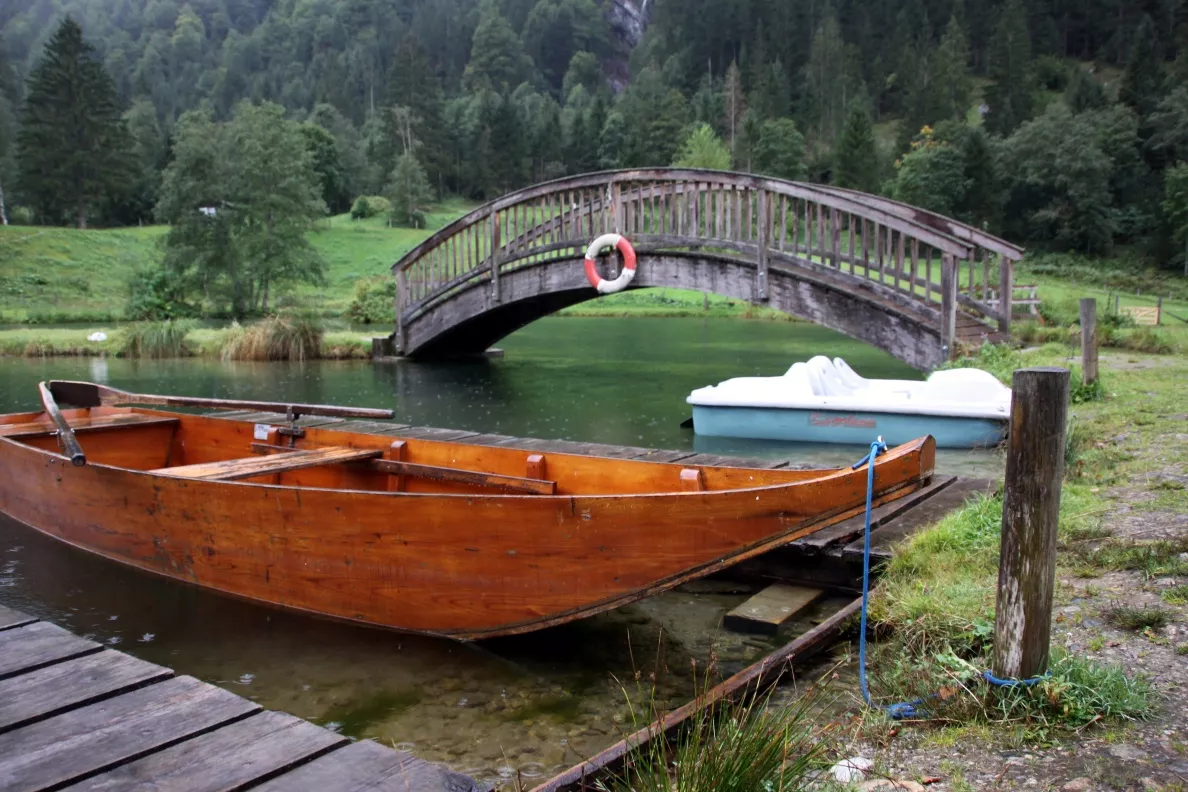 Flachau - Freizeit- & Wildpark Untertauern - E-Trekkingbike (14)