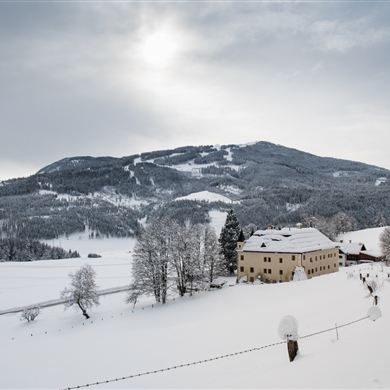 above Schloss Höchs