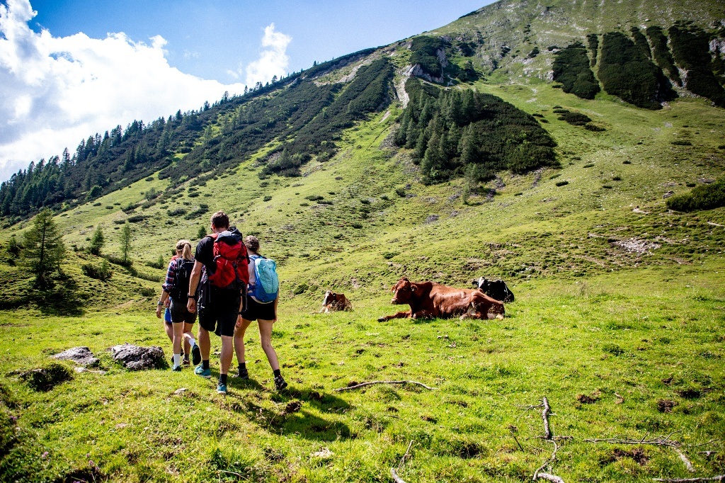 Obertauern - Felseralm - Hirschwandsteig - Oberpleißlingalm- Flachauwinkl