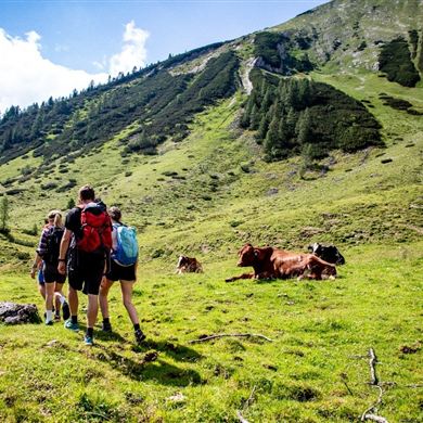 Obertauern - Felseralm - Hirschwandsteig - Südwienerhütte - Flachauwinkl