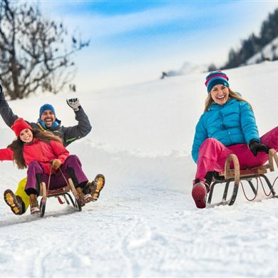 Rodelspaß Sattelbauer