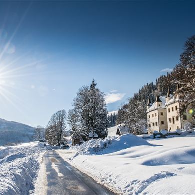 Höch Castle in a beautiful winter landscape
