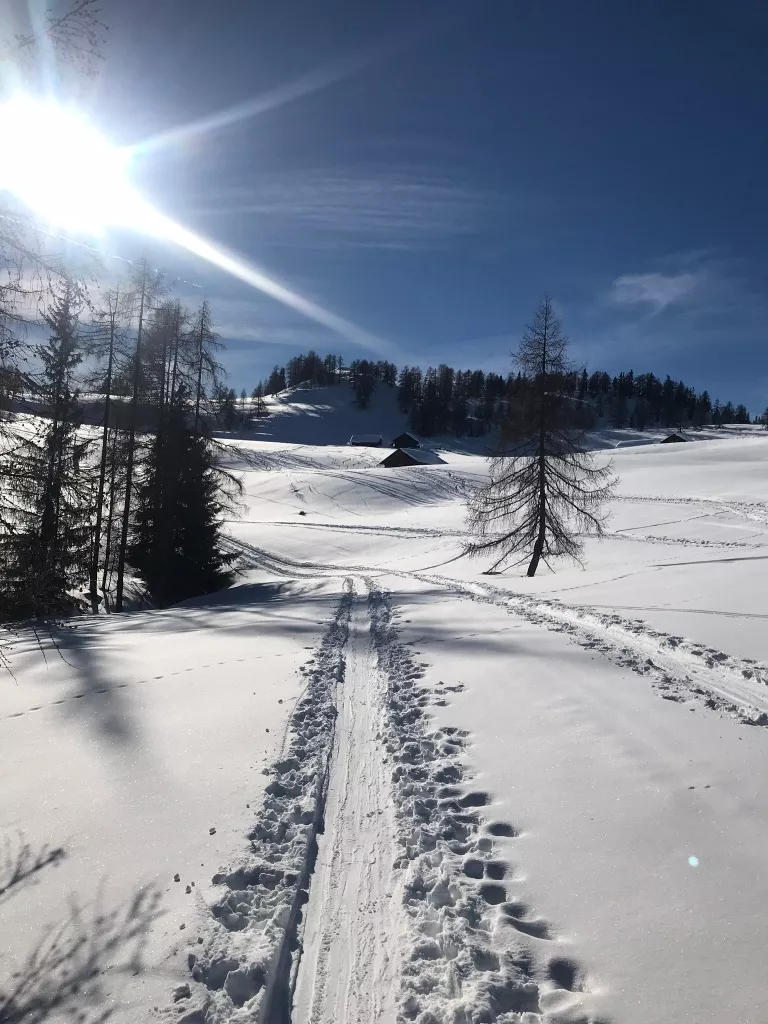 Skitour Lackenkogel