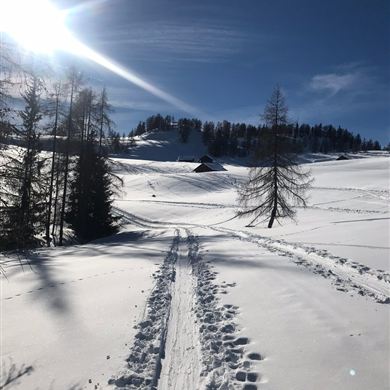 Skitour Lackenkogel