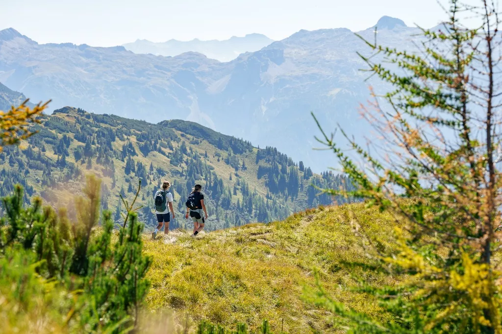 Bike & Hike Tour: Lackenkogel