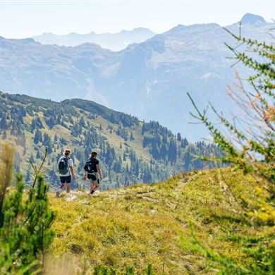 Wanderer am Weg zum Aussichtsberg Lackenkogel
