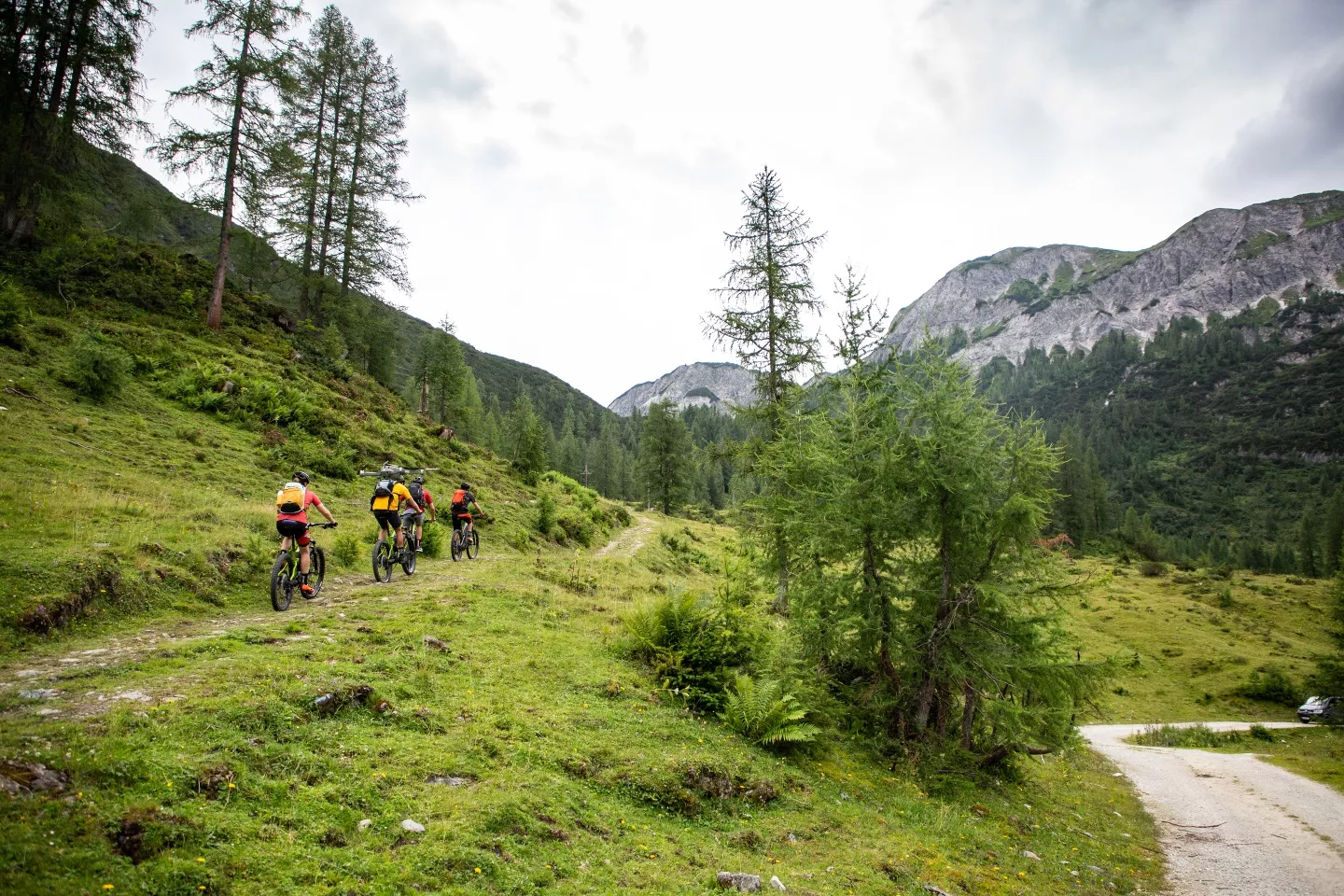 Zauchensee-Untertauern-Runde SW25