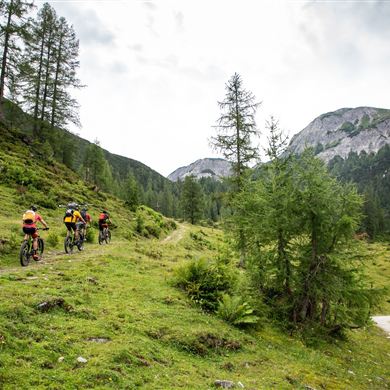 Zauchensee-Untertauern-Runde SW25