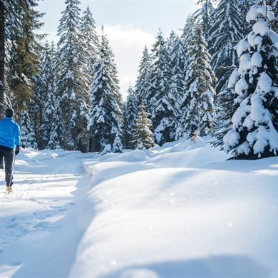 Zauchenseeloipe (10)